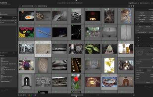 Darktable’s lighttable mode showing a collection