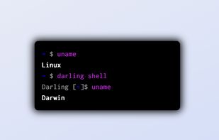 Darling screenshot 1