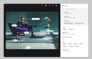 Dash's AI auto-tagging recognizes faces, objects and text in images
