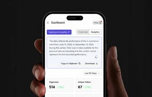 Built-in analytics dashboard showing pageviews, visitors, bounce rate and AI-generated insights to help sellers improve store performance.