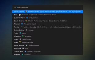 Dashpane screenshot 1