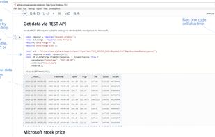 Data-Forge Notebook screenshot 1
