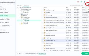 Data Recovery Wizard Pro screenshot 1