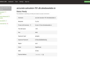 Database Labs screenshot 1