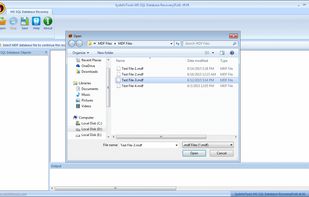 Databasefilerecovery SQL Database Recovery screenshot 1