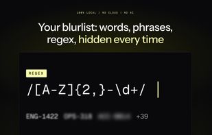 DataBlur screenshot 2