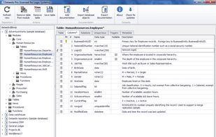 Dataedo screenshot 2