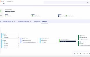DataGalaxy screenshot 2