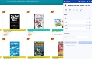 The extension's interface