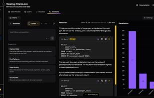 AI Data Assistant (prompt->query->result->visualisation)