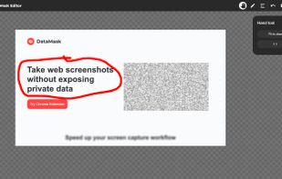 DataMask Editor - web app view