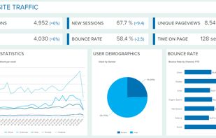 datapine screenshot 1