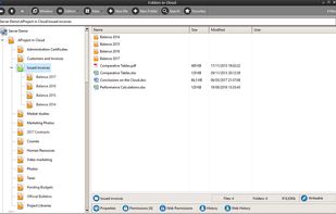 Dataprius mimics the operations of the folders and files of any Windows system. With the files and folders you can perform any of the typical operations such as copy, cut, paste and delete to the Recycle Bin.