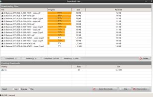 When files or folders are downloaded they also enter a process queue.