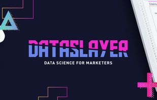Dataslayer.ai screenshot 1