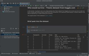 DataSpell screenshot 1