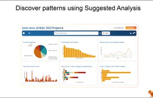 DataSquirrel screenshot 1