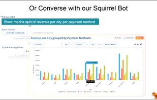 DataSquirrel screenshot 1