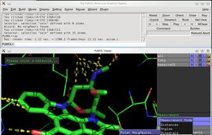 PyMOL screenshot 1