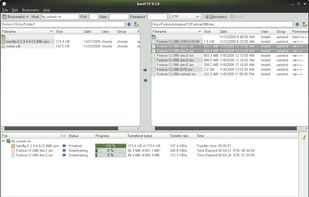 bareFTP screenshot 1