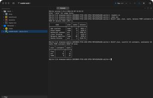 DBClient screenshot 3