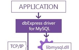 dbExpress Drivers screenshot 3