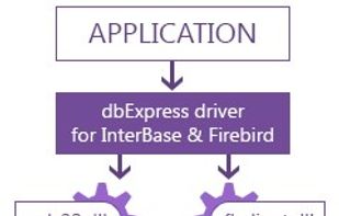 dbExpress Drivers screenshot 1