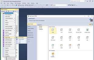 dbForge Data Pump for SQL Server screenshot 1