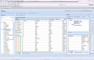 Web Based data browser