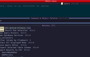 dbterm screenshot 1
