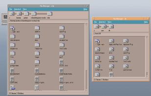 CDE (Common Desktop Environment) screenshot 1