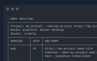 DDEV describe command