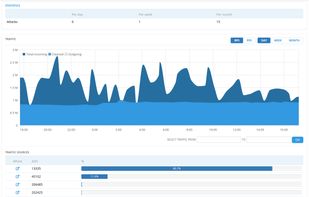 DDoS-Guard screenshot 1