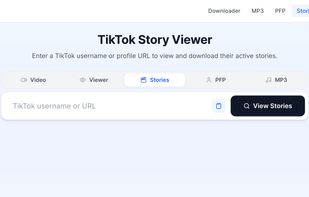 tiktok story viewer