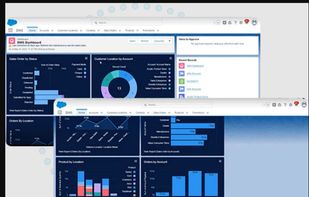 Dealer Management System  screenshot 2