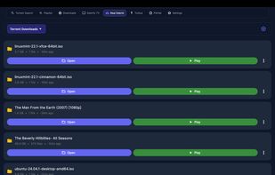 Debrify screenshot 3