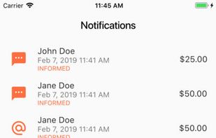 Debtrail screenshot 3