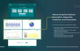 Decision Pulse AI screenshot 3