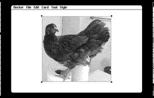 View of a single card with drawing tools. 