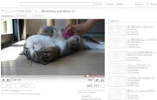 Decreased Productivity screenshot 1