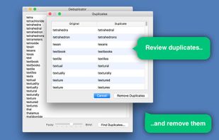 Deduplicator screenshot 2