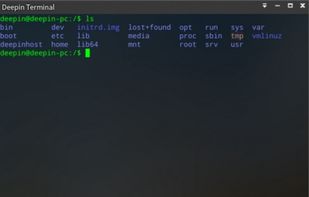 Deepin Terminal screenshot 1