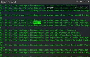 Deepin Terminal screenshot 2