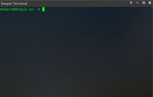Deepin Terminal screenshot 1