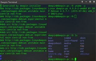 Deepin Terminal screenshot 3
