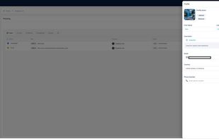 Main Interface