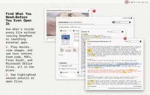 DeepPeek screenshot 3
