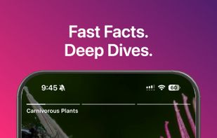 DeepSwipe screenshot 1