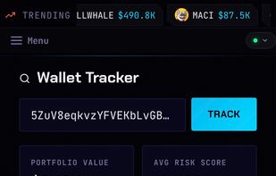 Look up any Solana wallet: portfolio value, win rate, realised PnL, average hold time and a smart-money score, with full holdings and recent trades.