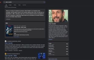 degoog screenshot 1